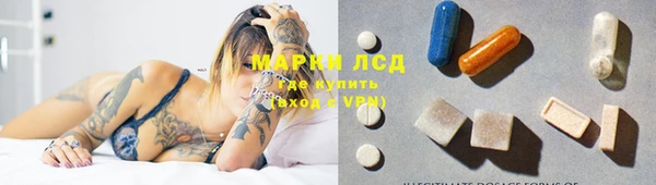 прущие грибы Алексеевка