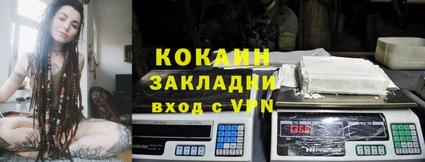 дживик Алзамай