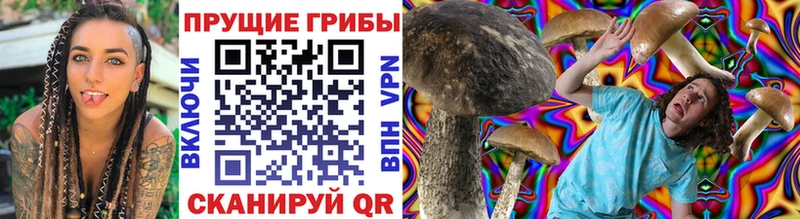 Псилоцибиновые грибы Psilocybine cubensis  купить наркотик  Костерёво 